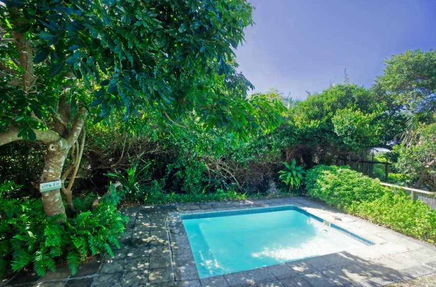 Swimming pool at Baleia Azul 26 in Ponta Mamoli
