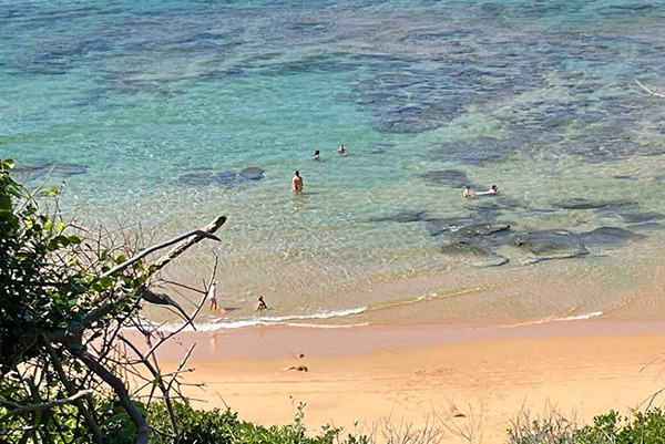 Ponta Mamoli